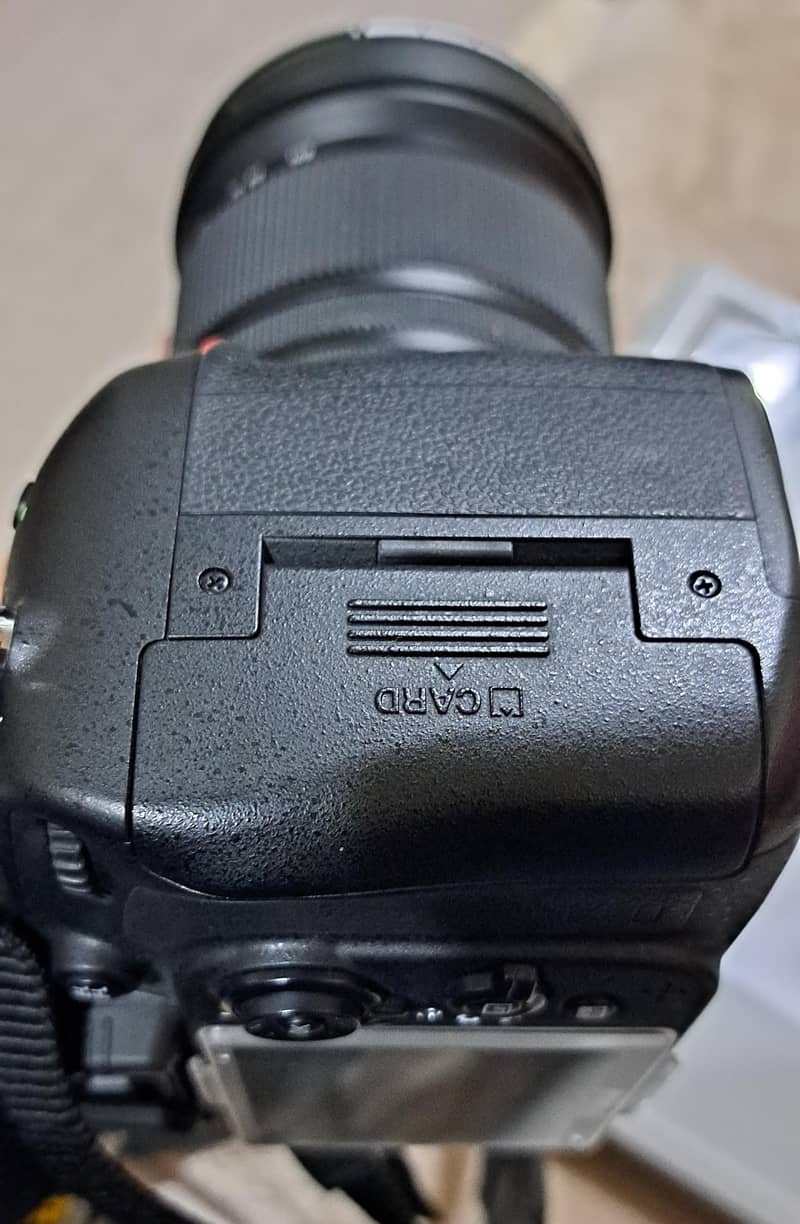 Nikon D610 with Sigma 24-105 mm F4 GD ART Lens 5