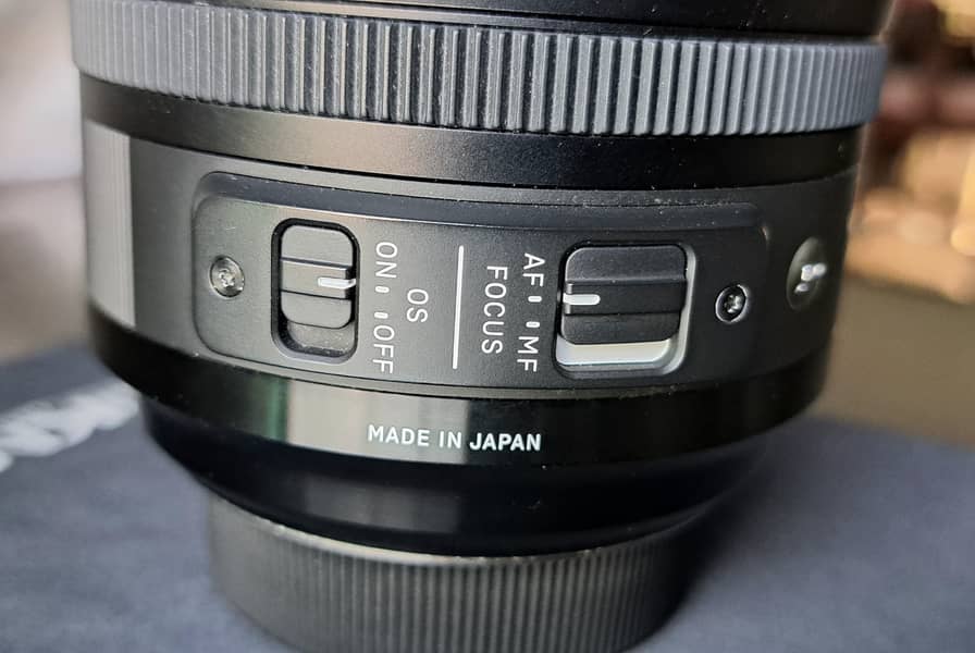 Nikon D610 with Sigma 24-105 mm F4 GD ART Lens 16