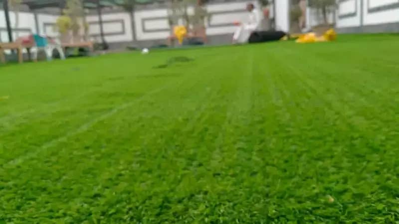 Artificial Imported Grass Available 0