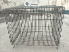 Birds cage