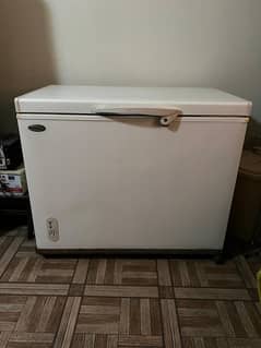 WAVES Deep Freezer in excellent condition for sale