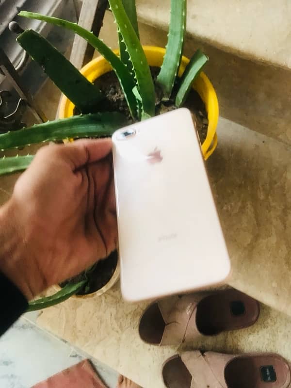 iphone 8 plus 10by 10 condition 0