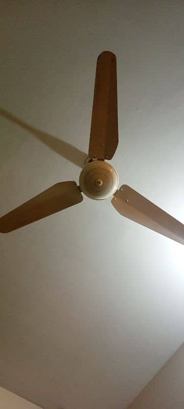 Orient 56 Inch Pure Copper fan Ceiling fan 0