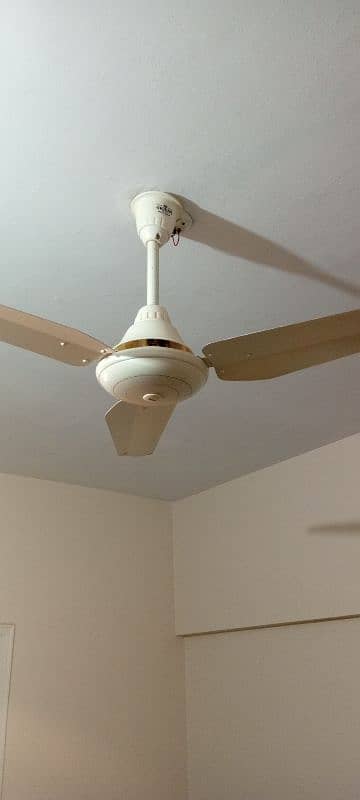 Orient 56 Inch Pure Copper fan Ceiling fan 2