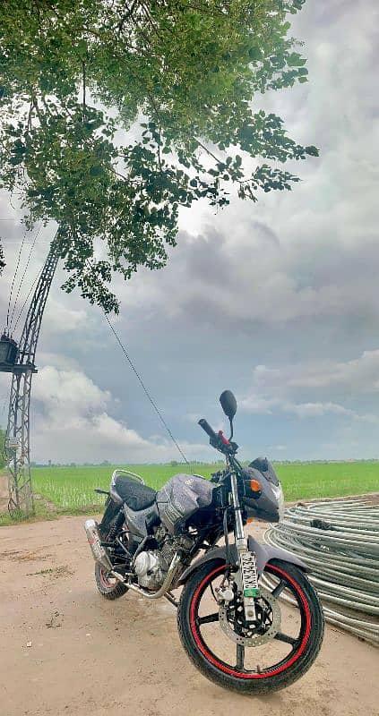 yamaha ybr 125 in grey color 1