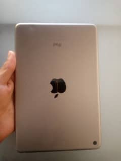 ipad mini 4