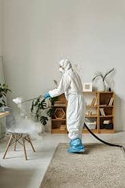 Bed Bugs Termite Cockroach Pest Control Fumigation Service in karachi 2