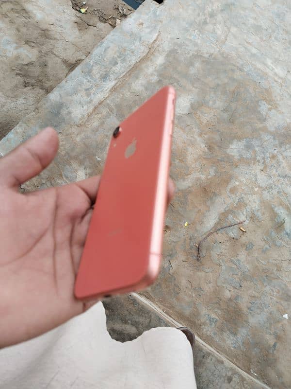 Iphone XR / 03207011840 2