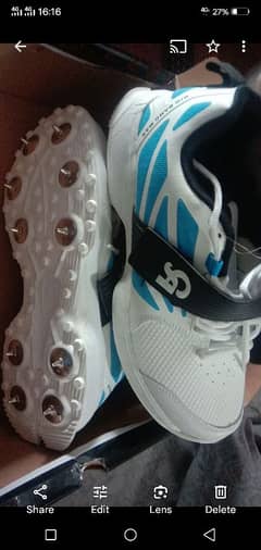 CA spikes