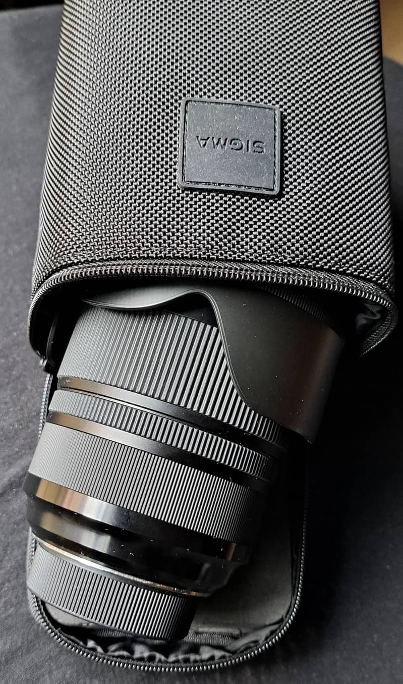 Nikon D610 with Sigma 24-105 mm F4 GD ART Lens 4