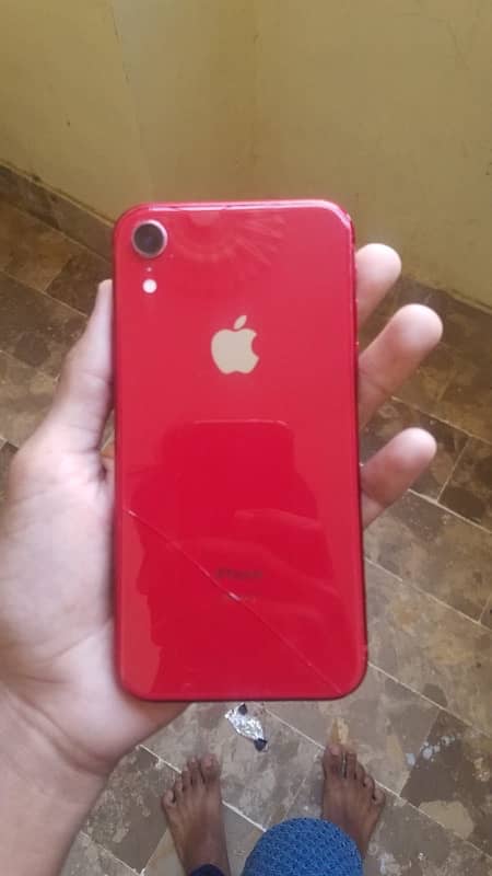 iPhone XR pta approved 4