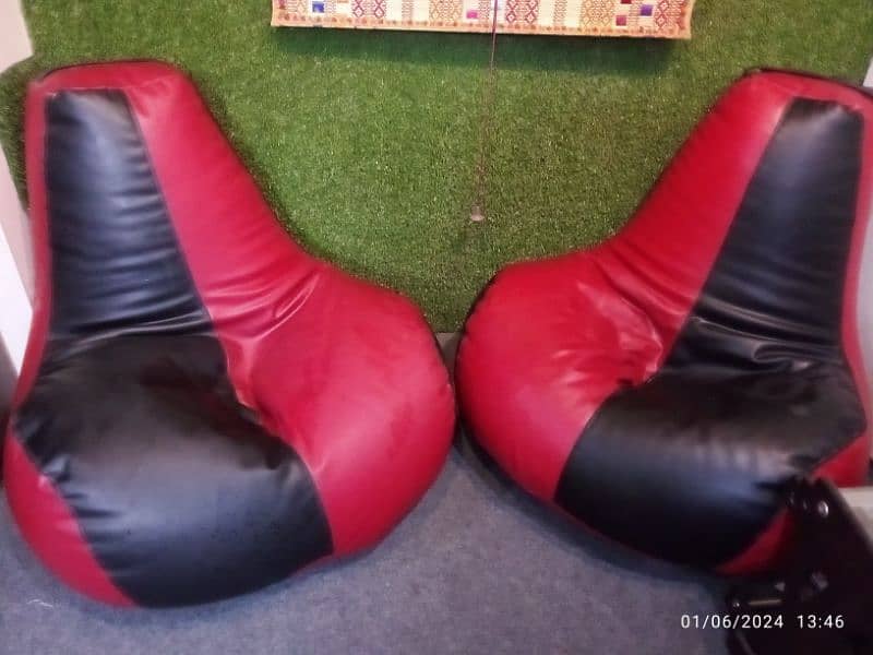 Bean Bags Adult 2