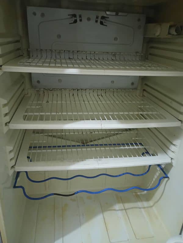 pel fridge 4