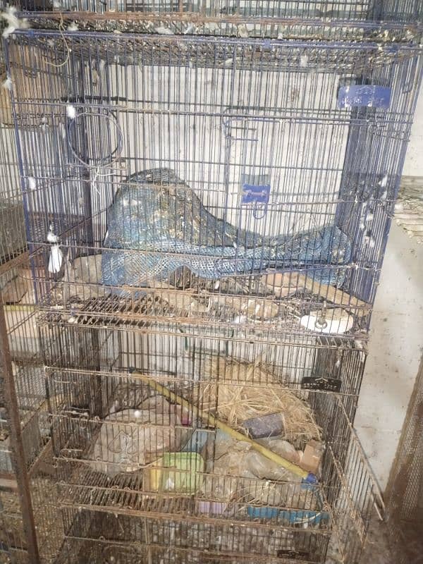 3 cage for sale 1