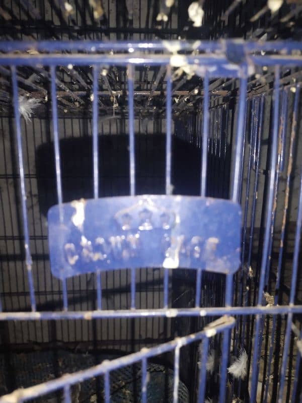 3 cage for sale 2