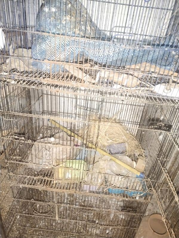 3 cage for sale 3