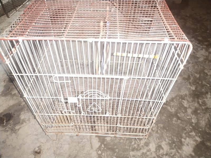 3 cage for sale 4