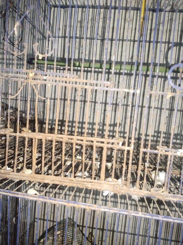 3 cage for sale 5