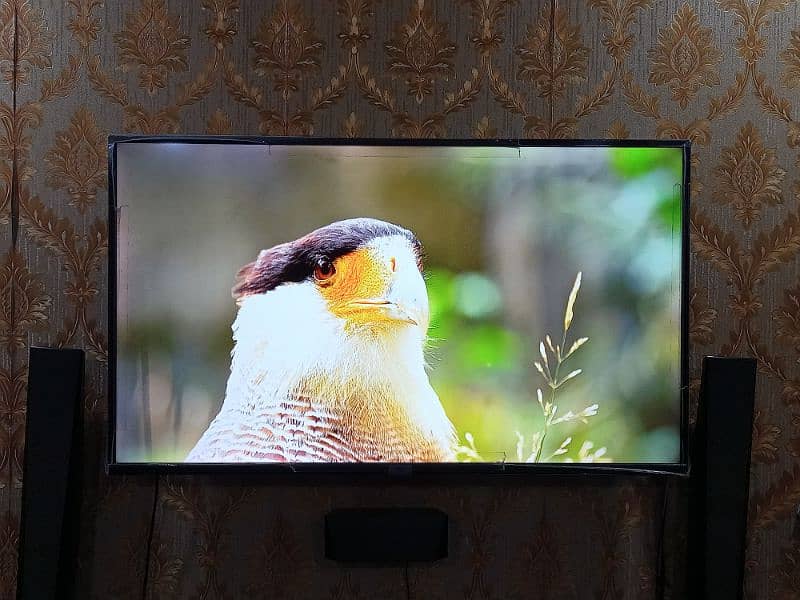 TCL LED TV 49 INCH MODEL L49S6500 (contact 03002338143) 0