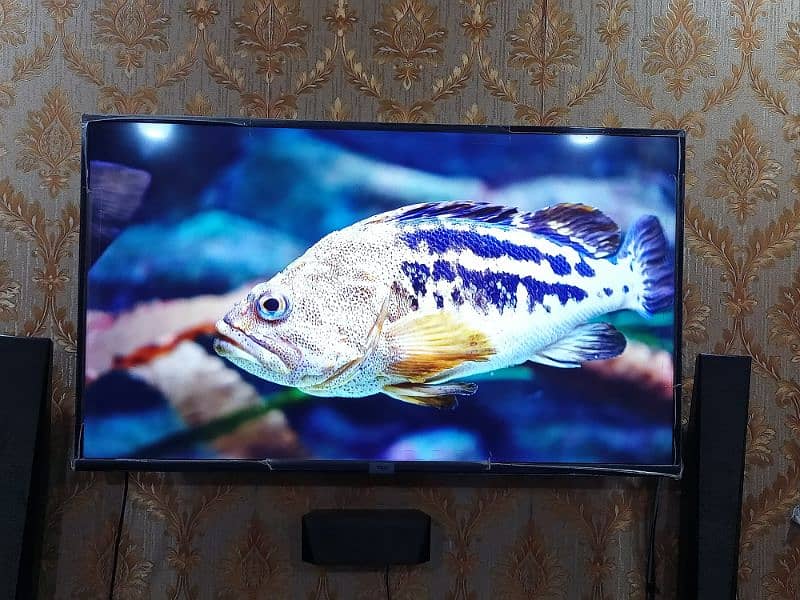 TCL LED TV 49 INCH MODEL L49S6500 (contact 03002338143) 5