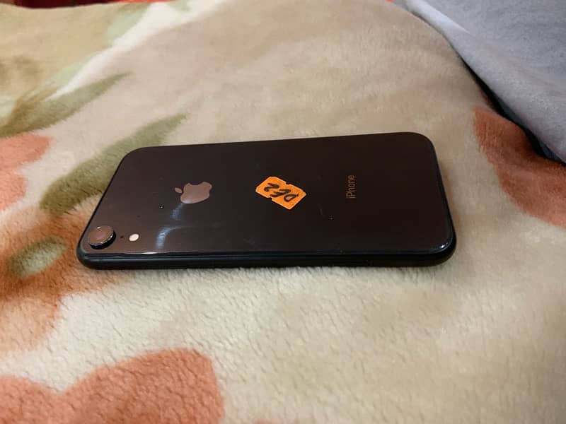 iphone xr back 1