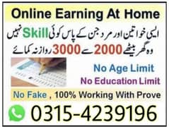 part time job / online work / data entry.