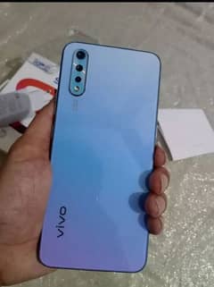 vivo