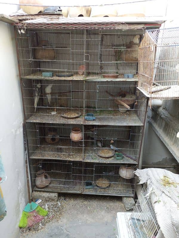 Cage for birds 0