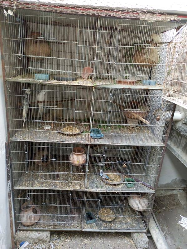 Cage for birds 1