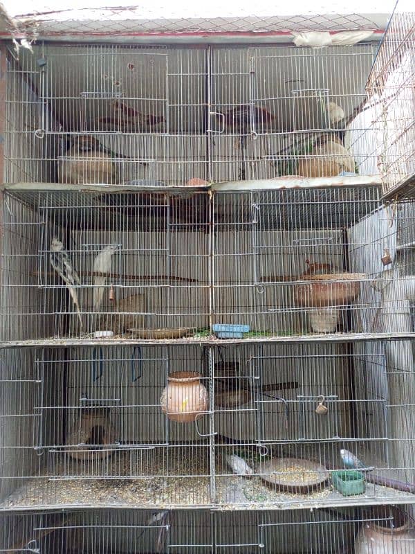 Cage for birds 2