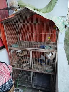 birds cage for sale