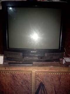 Television