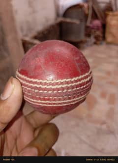 Cricket