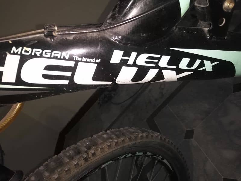 bicycle morgen helux 2