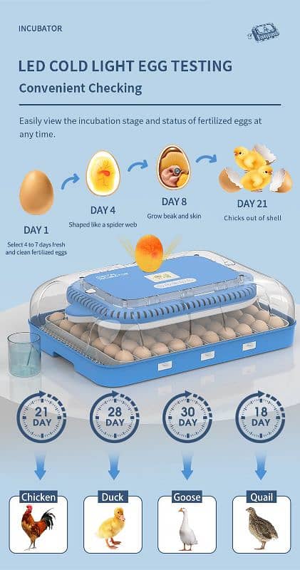 Importer Whole salers Eggs incubator 06 to 5056 incubator white shamos 4