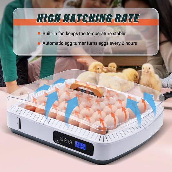 Importer Whole salers Eggs incubator 06 to 5056 incubator white shamos 5