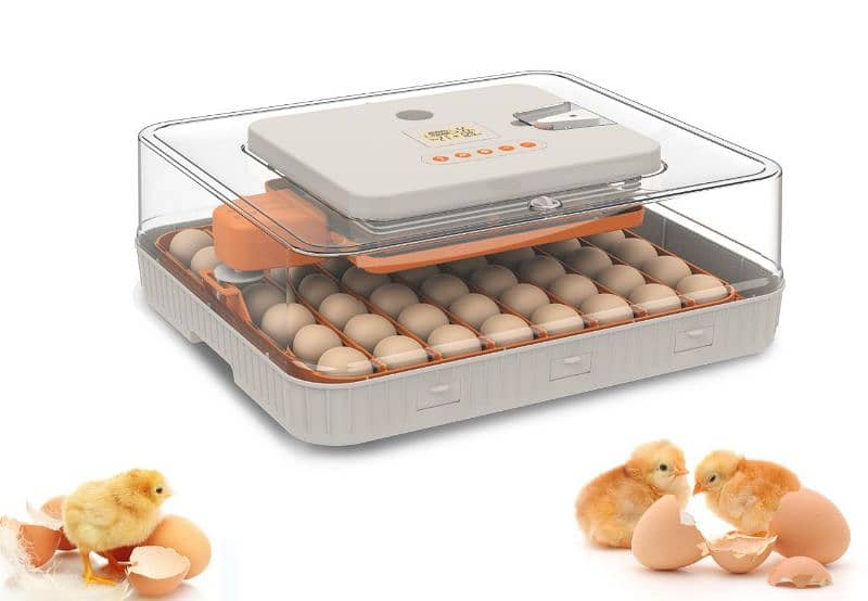 Importer Whole salers Eggs incubator 06 to 5056 incubator white shamos 7