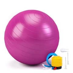 Gym Ball Exercise Ball Fitness Air Pump Size 55cm 65cm 75cm