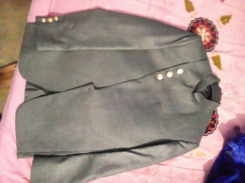 prince coat gray colour 4