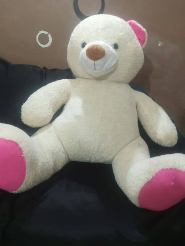 Giant size Taddy bears for sale 0