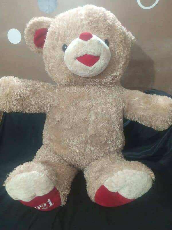 Giant size Taddy bears for sale 1