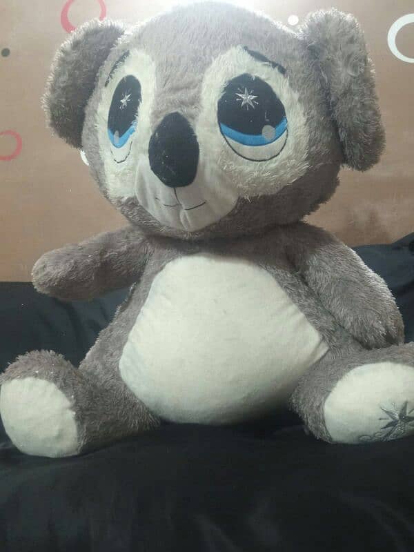 Giant size Taddy bears for sale 5