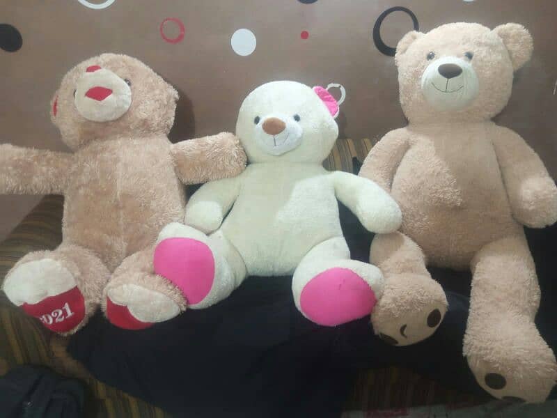 Giant size Taddy bears for sale 7