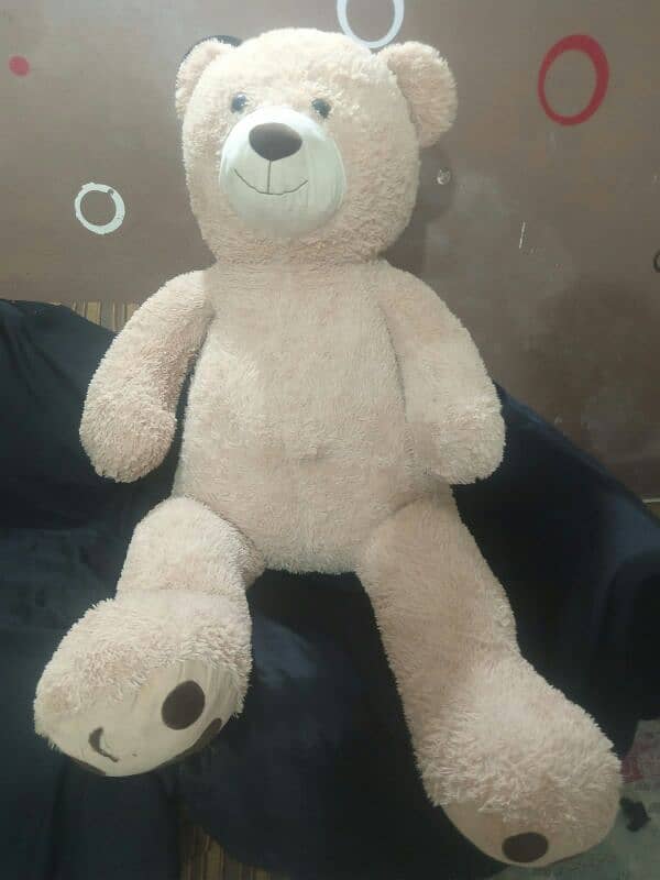 Giant size Taddy bears for sale 8