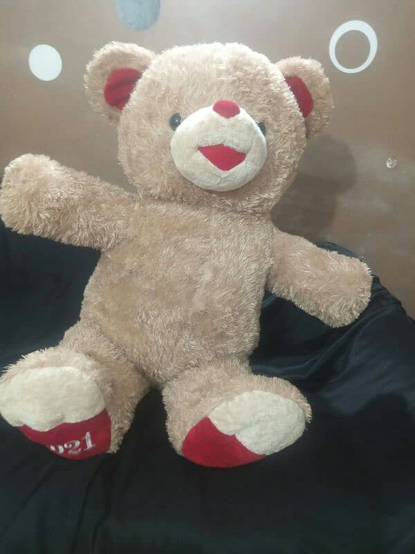 Giant size Taddy bears for sale 9