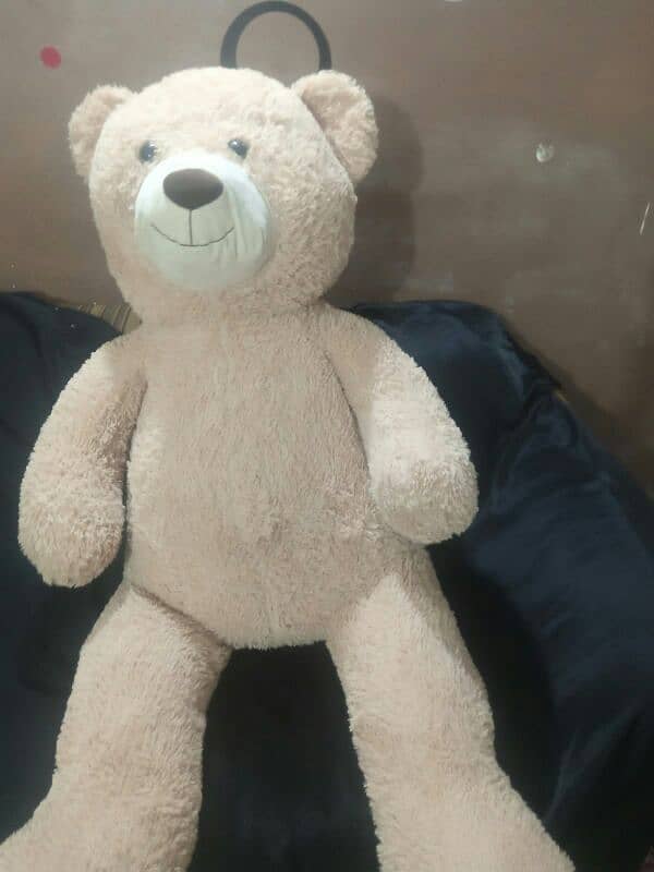 Giant size Taddy bears for sale 10