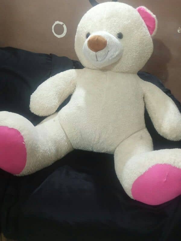 Giant size Taddy bears for sale 11