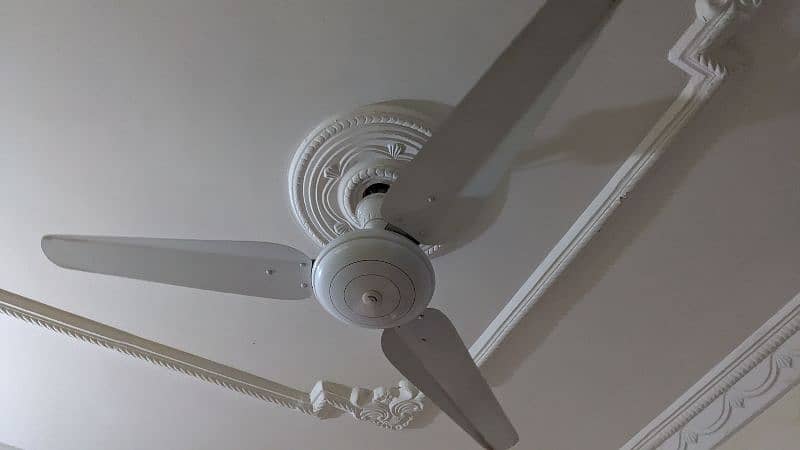 Orient ceiling fan 1