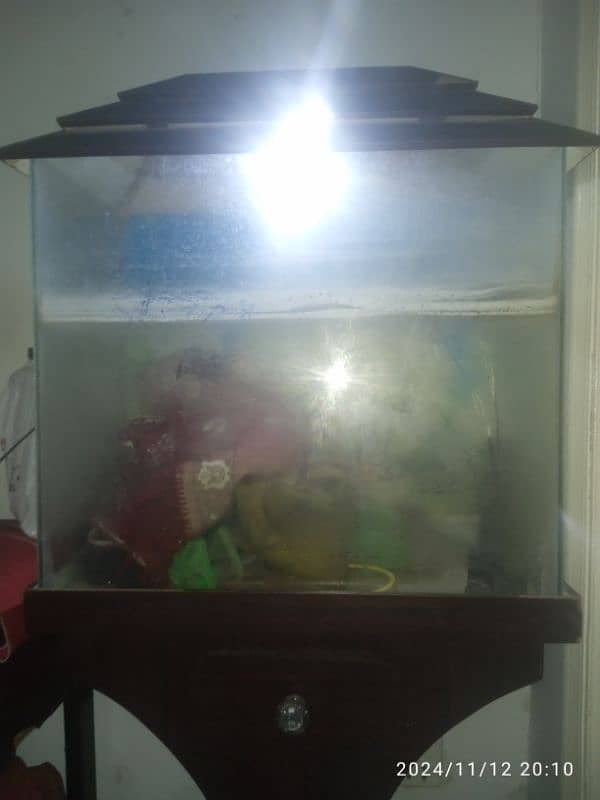 FISH AQUARIUM FOR SALE AT CHEAP RATES. 1