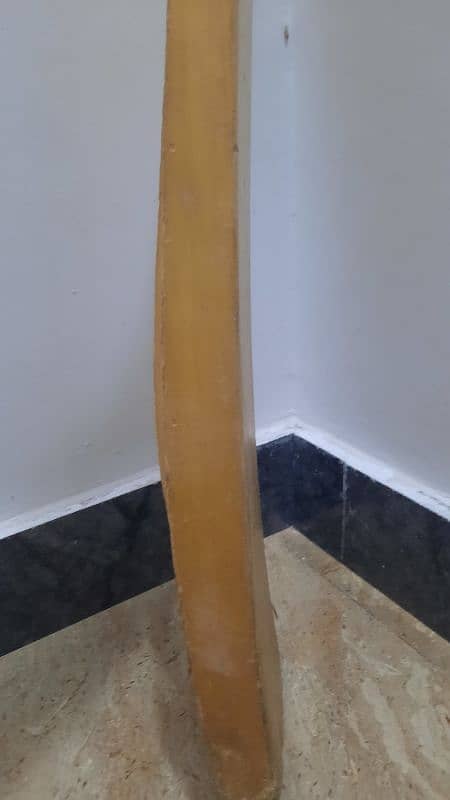 BAT FOR SALE 1